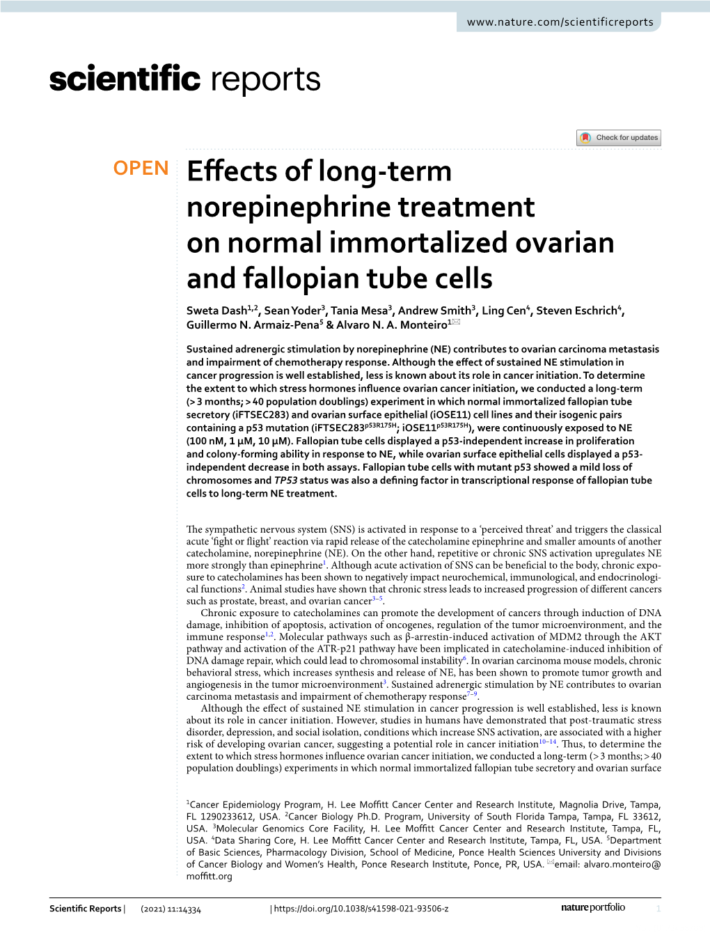 Effects of Long-Term Norepinephrine Treatment on Normal Immortalized