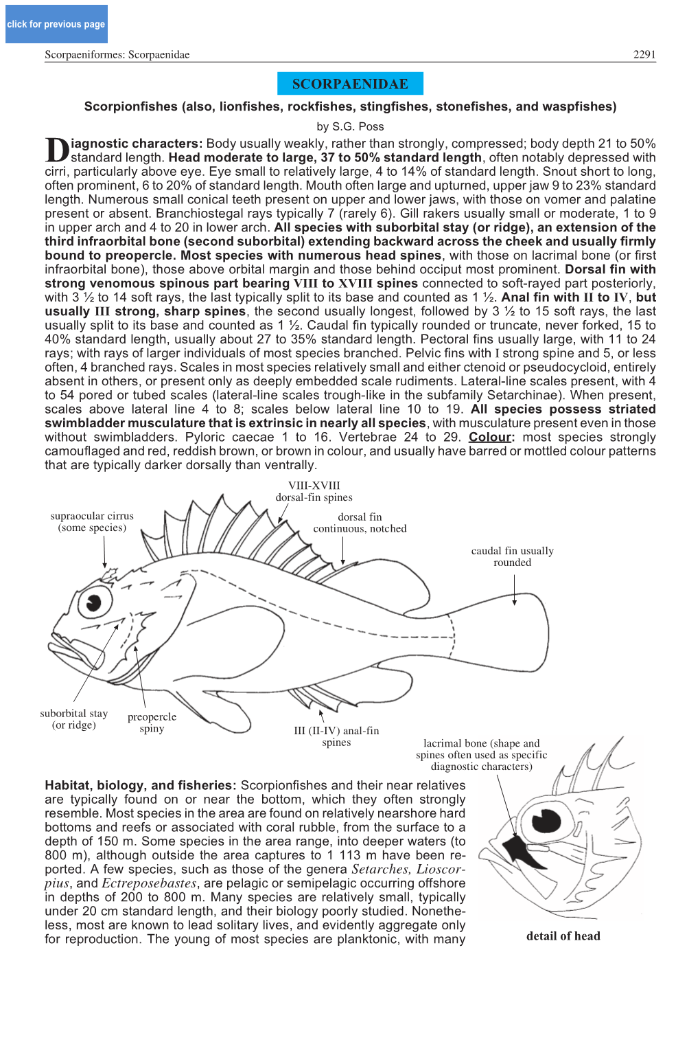 Scorpaenidae 2291