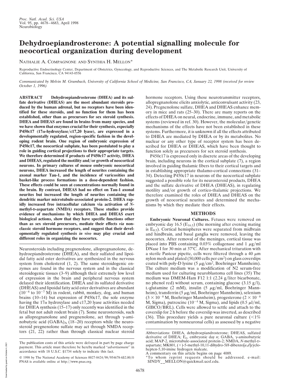 Dehydroepiandrosterone: a Potential Signalling Molecule for Neocortical Organization During Development