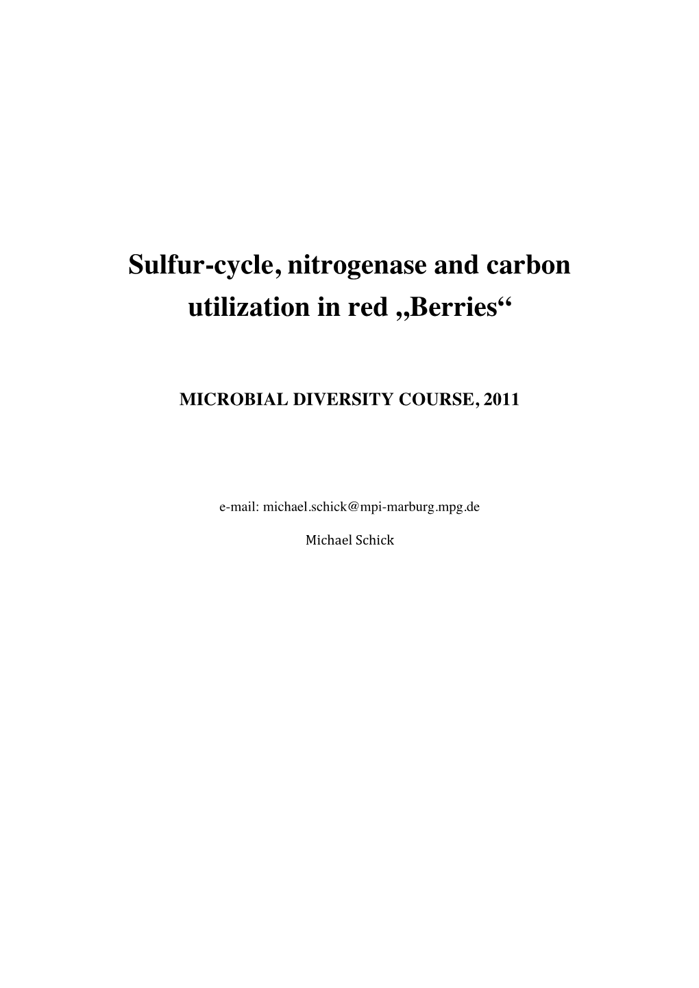 Schick, M. Sulfur-Cycle, Nitrogenase and Carbon Utilization In