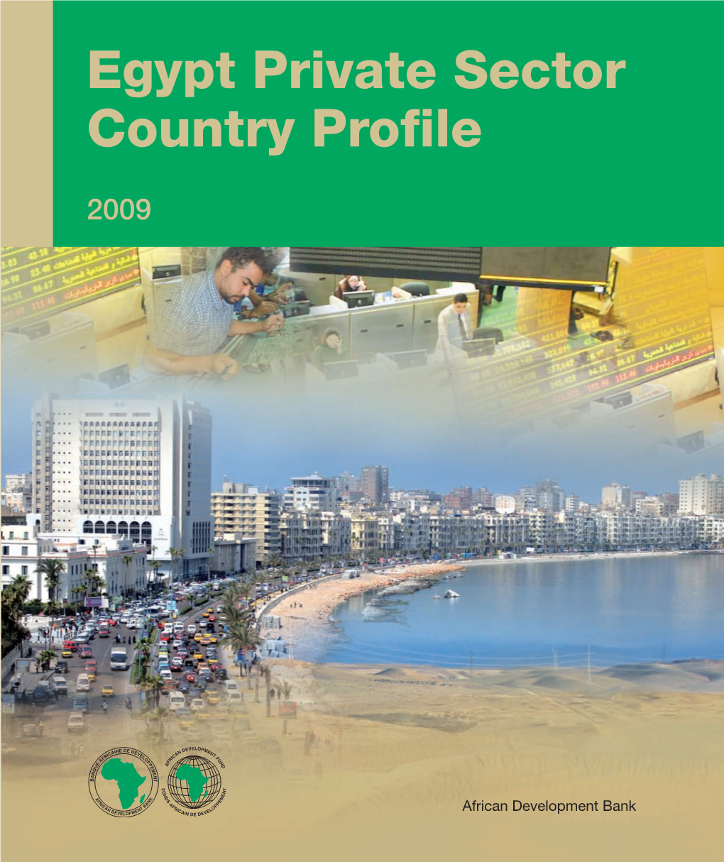Egypt Private Sector Country Profile