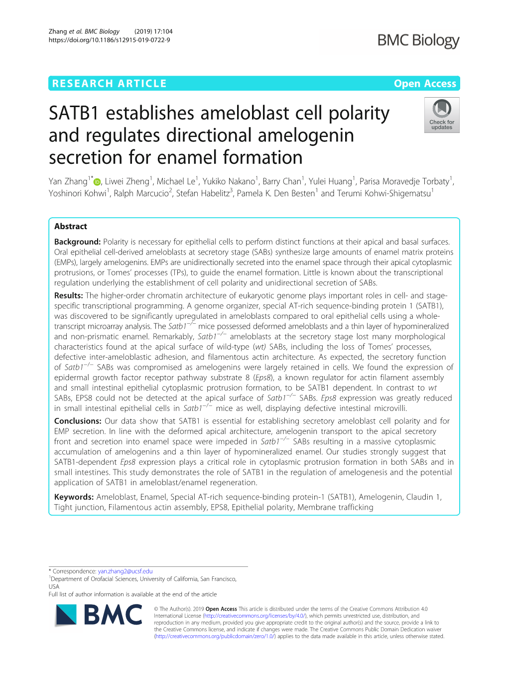 SATB1 Establishes Ameloblast Cell Polarity and Regulates Directional