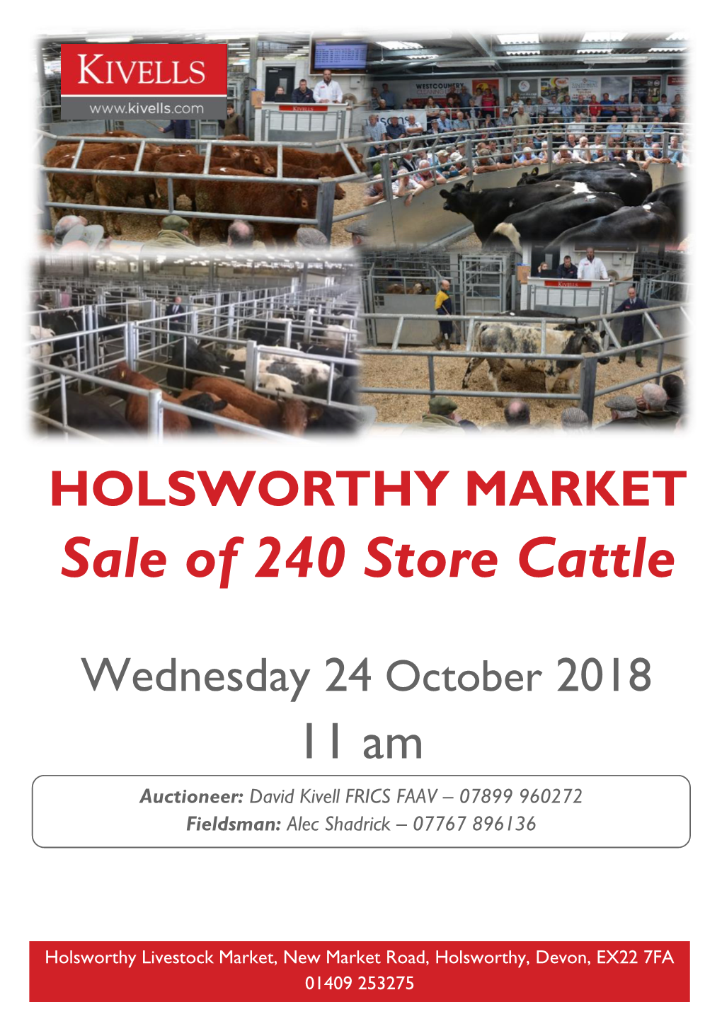 Sale of 240 Store Cattle