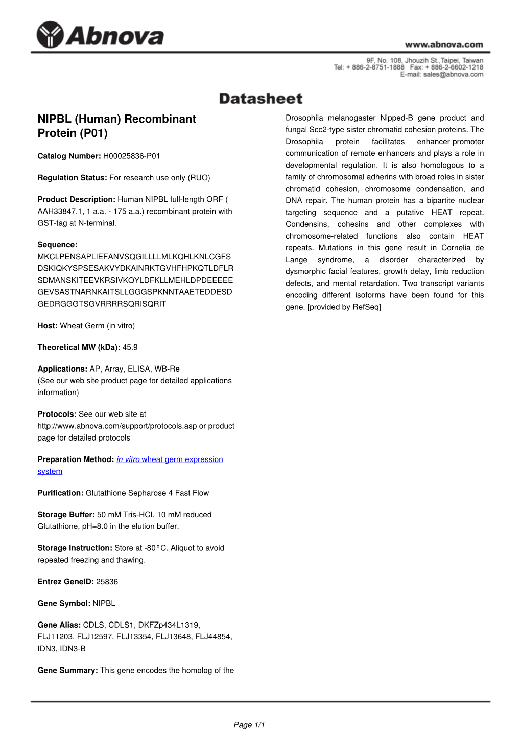 NIPBL (Human) Recombinant Protein (P01)