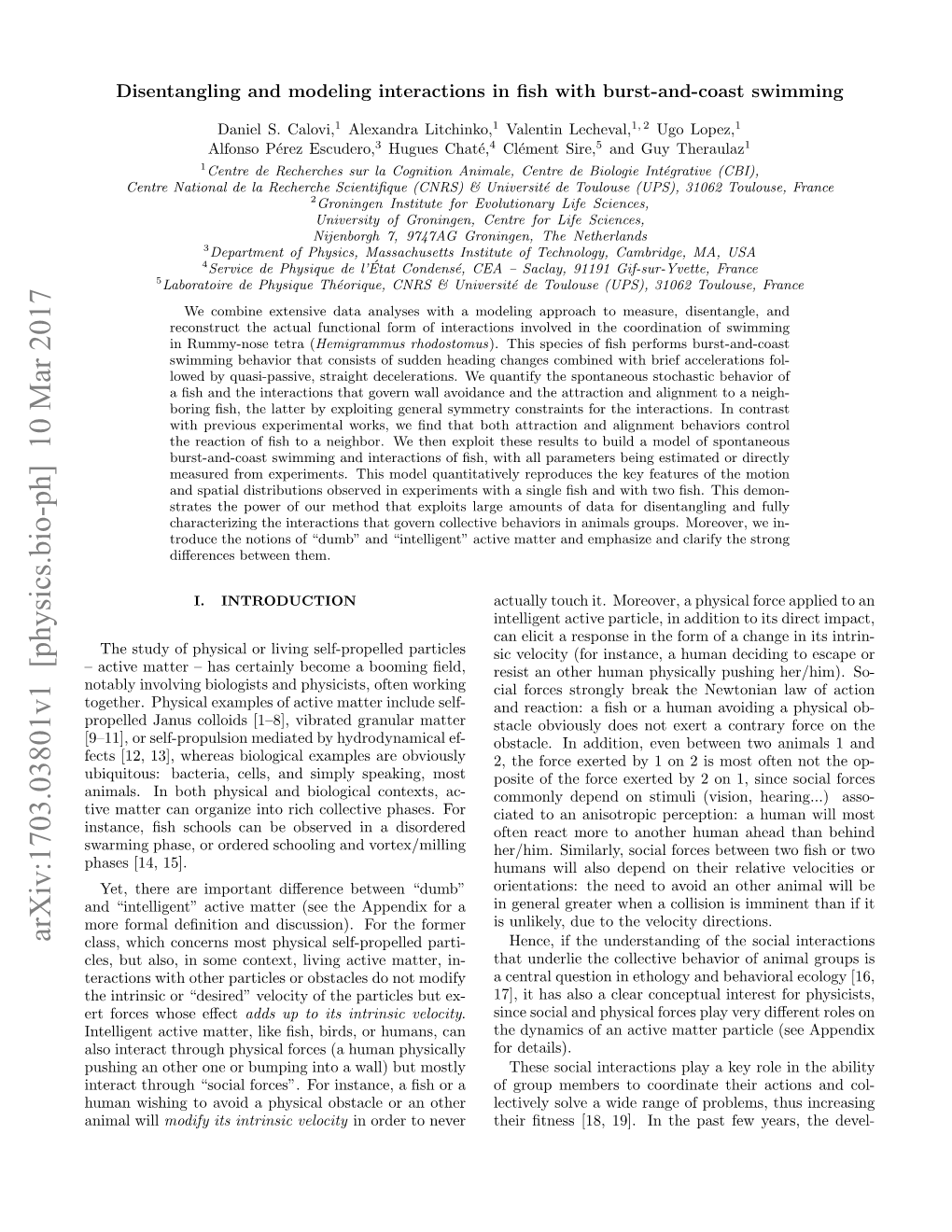 Disentangling and Modeling Interactions in Fish with Burst-And