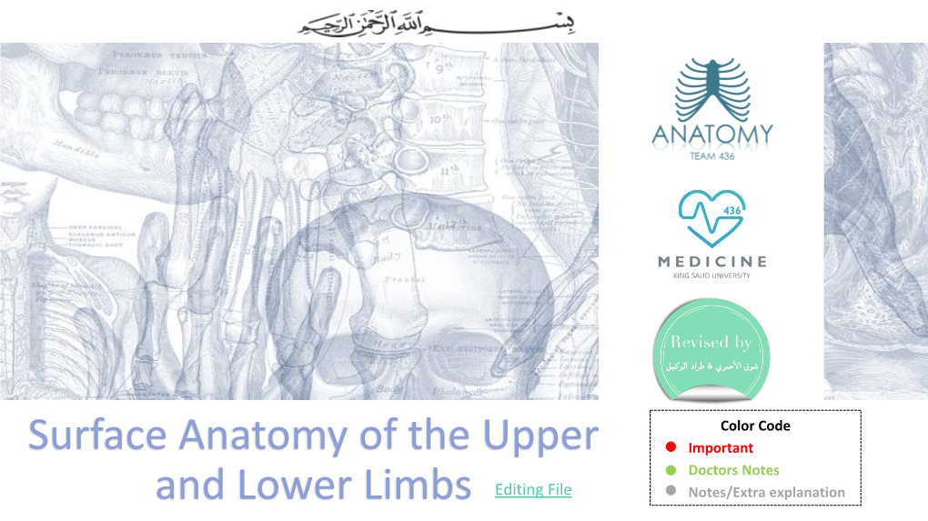 Surface Anatomy of the Upper and Lower Limbs
