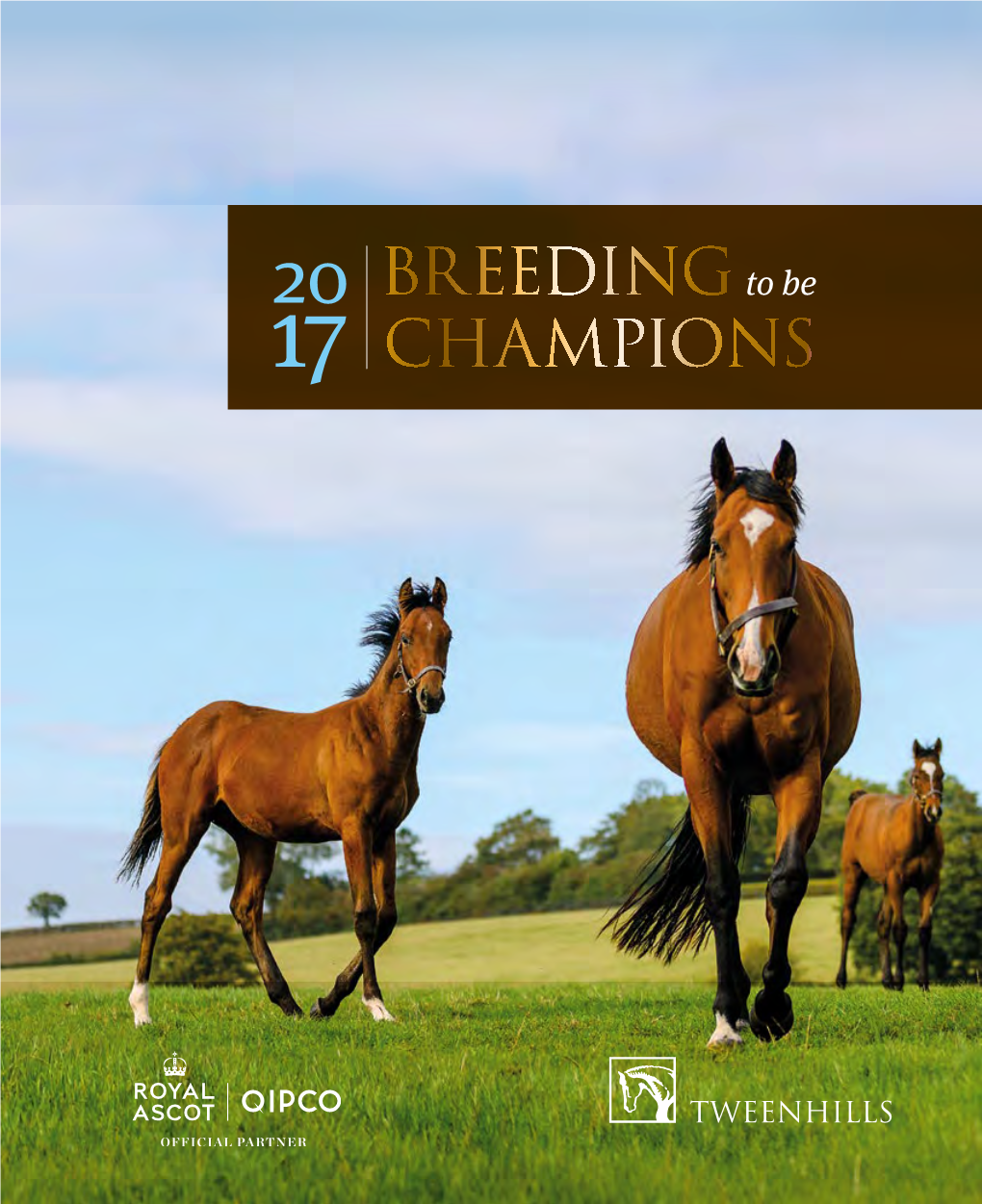 TWEENHILLS 2017 BREEDING to Be CHAMPIONS 1