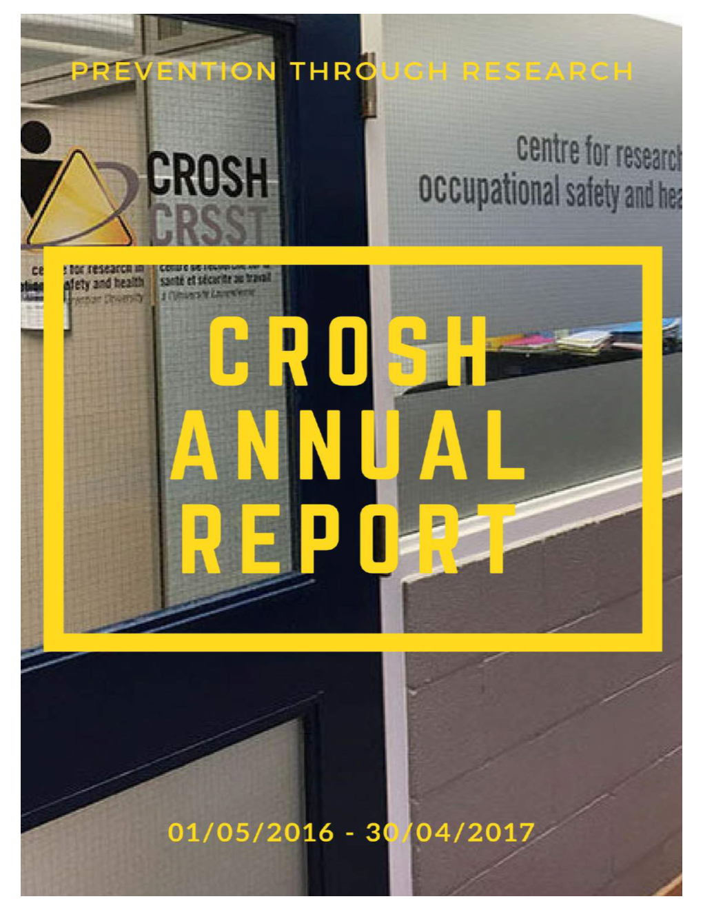Annual Report 2016-2017 (PDF)