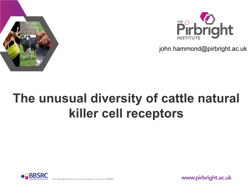 The Unusual Diversity of Cattle Natural Killer Cell Receptors