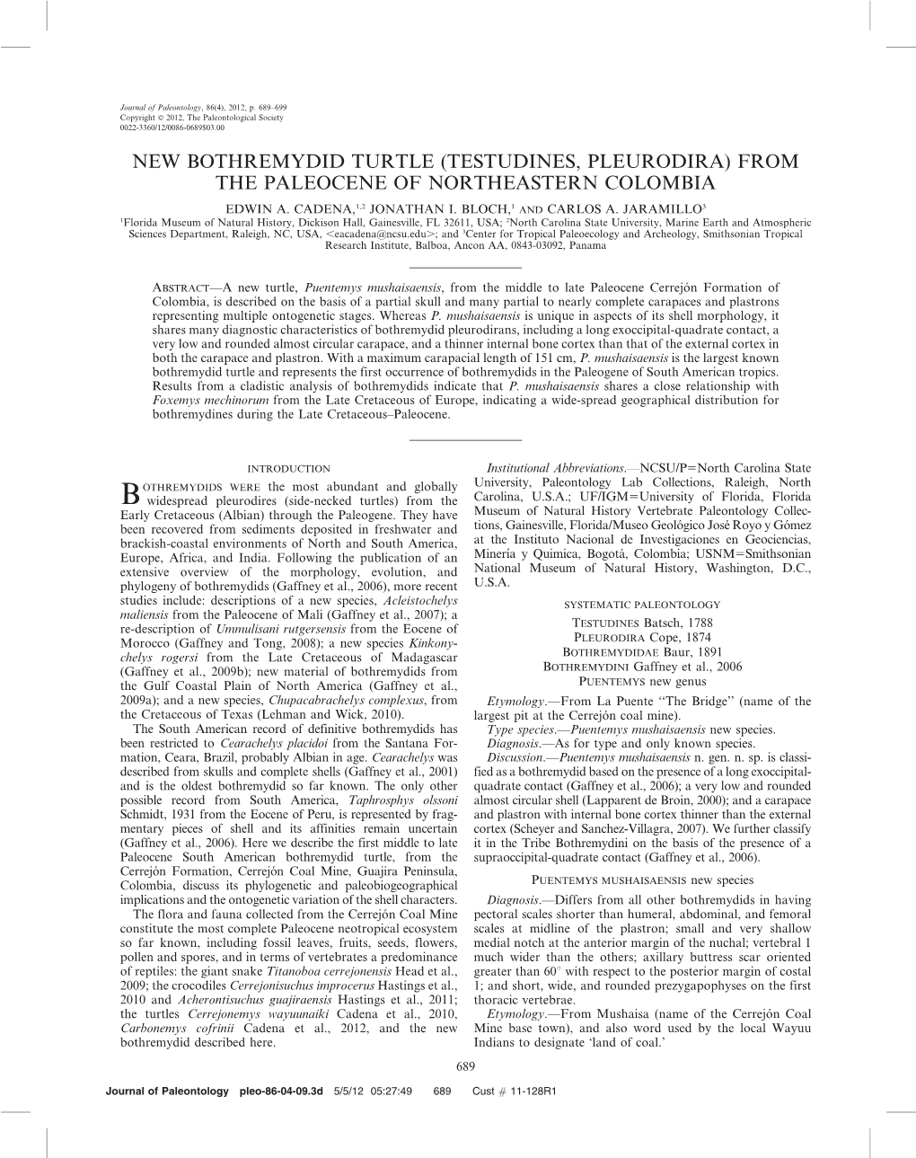 New Bothremydid Turtle (Testudines, Pleurodira) from the Paleocene of Northeastern Colombia