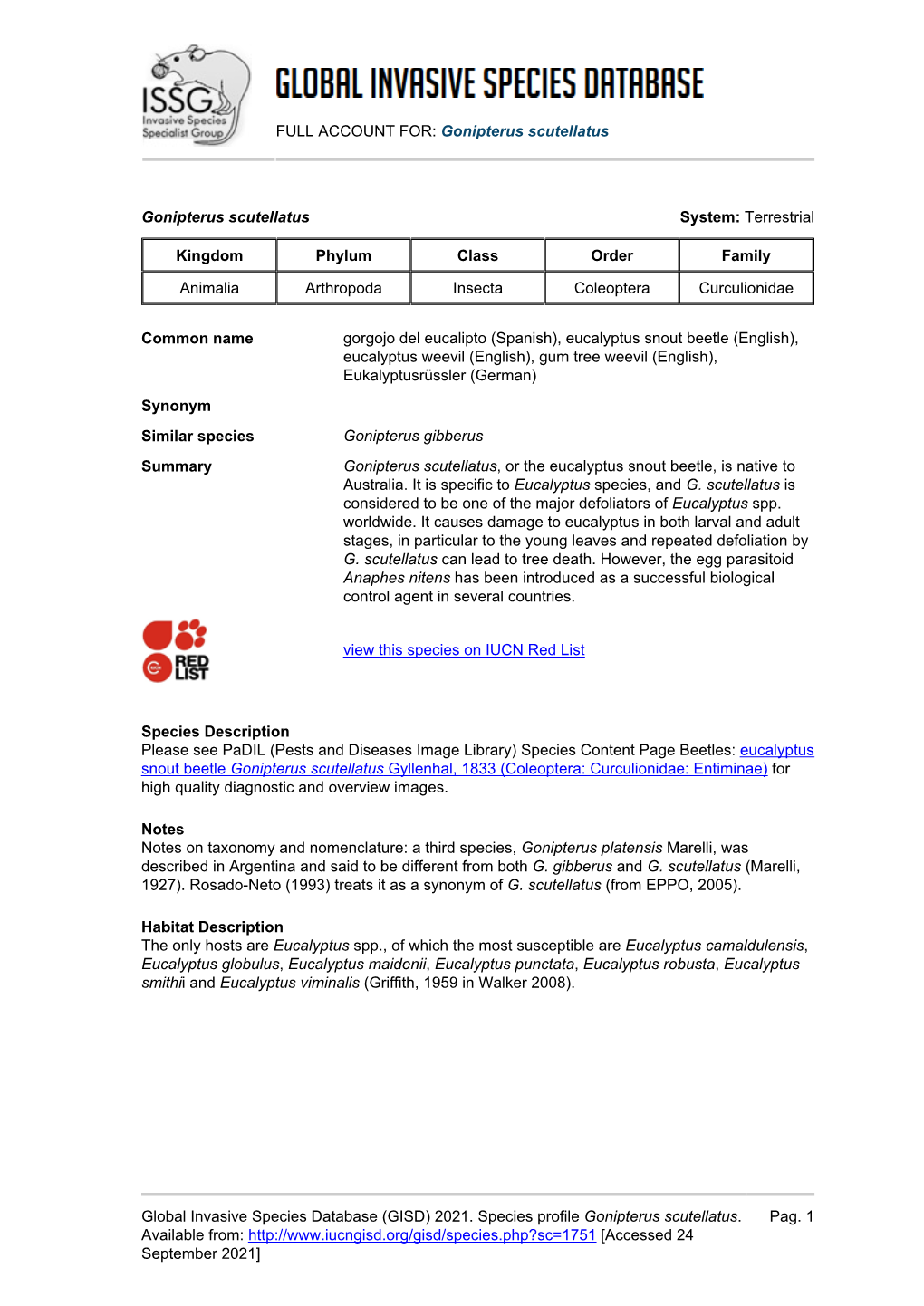 (GISD) 2021. Species Profile Gonipterus Scutellatus. A