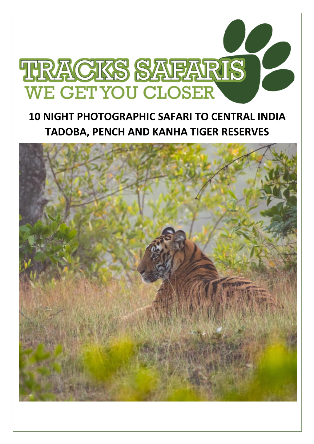 10 Night Photographic Safari to Central India Tadoba, Pench and Kanha Tiger Reserves