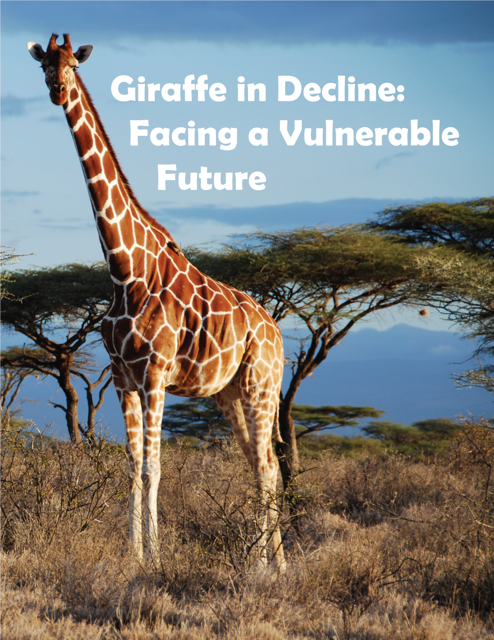 Giraffe in Decline: Facing a Vulnerable Future Table of Contents