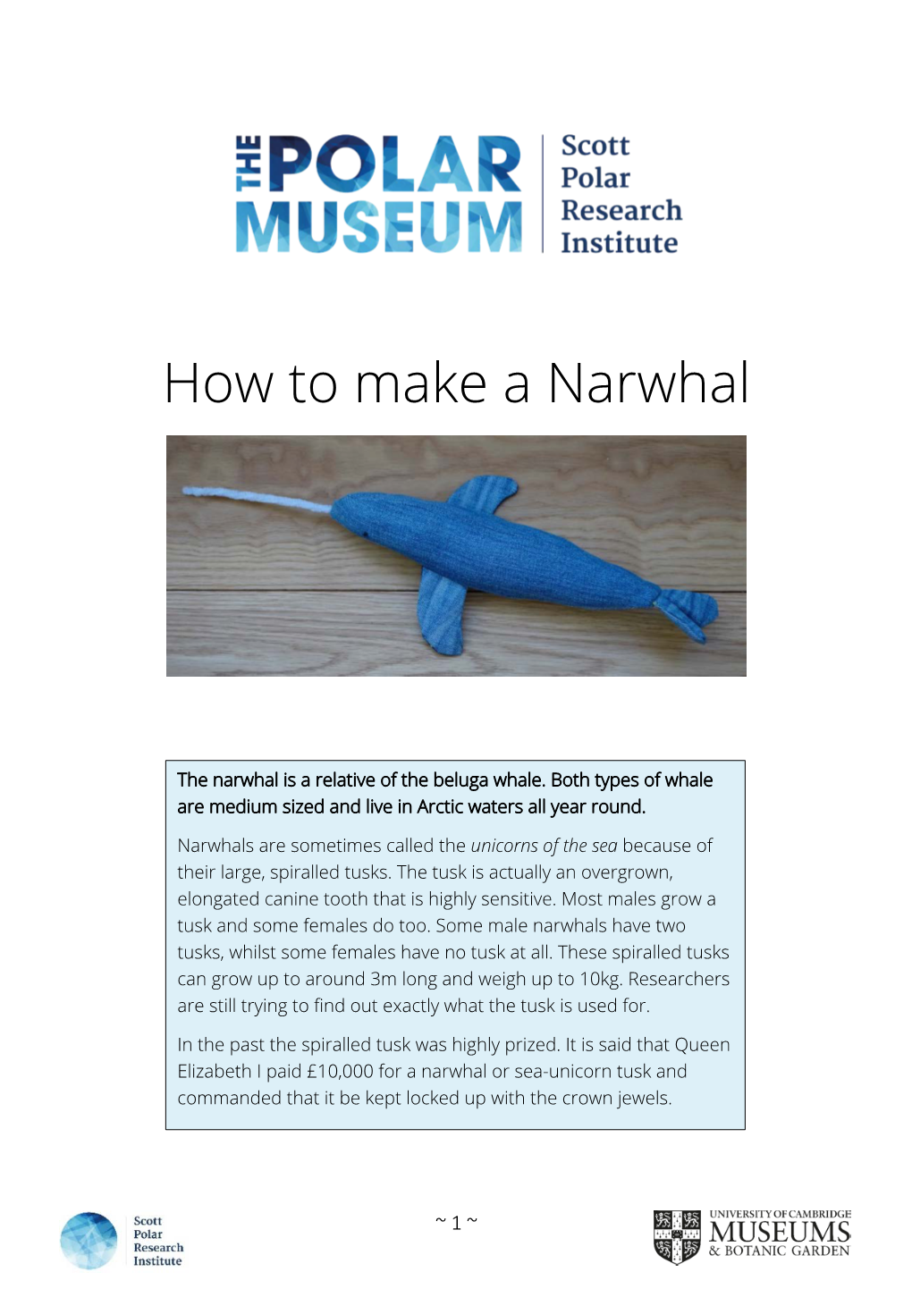 How to Make a Narwhal