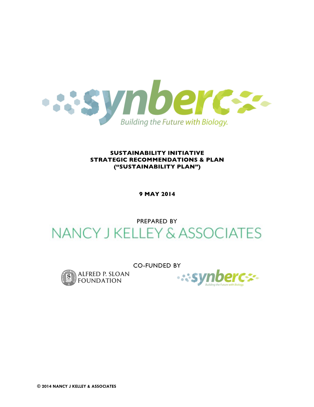 Synberc Sustainability Initiative Strategic Recommendations & Plan