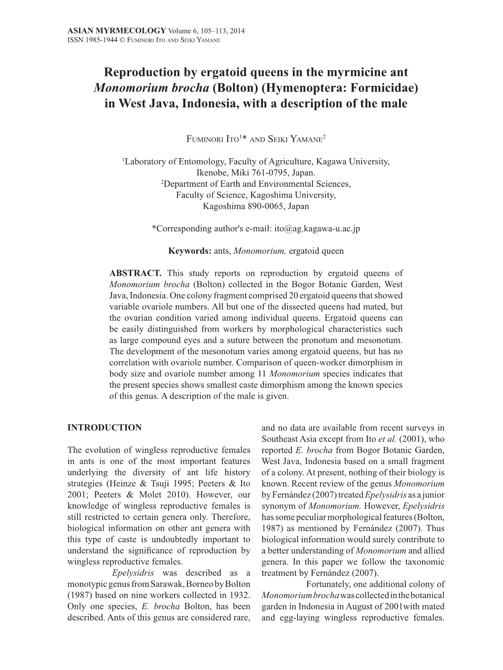 Hymenoptera: Formicidae) in West Java, Indonesia, with a Description of the Male