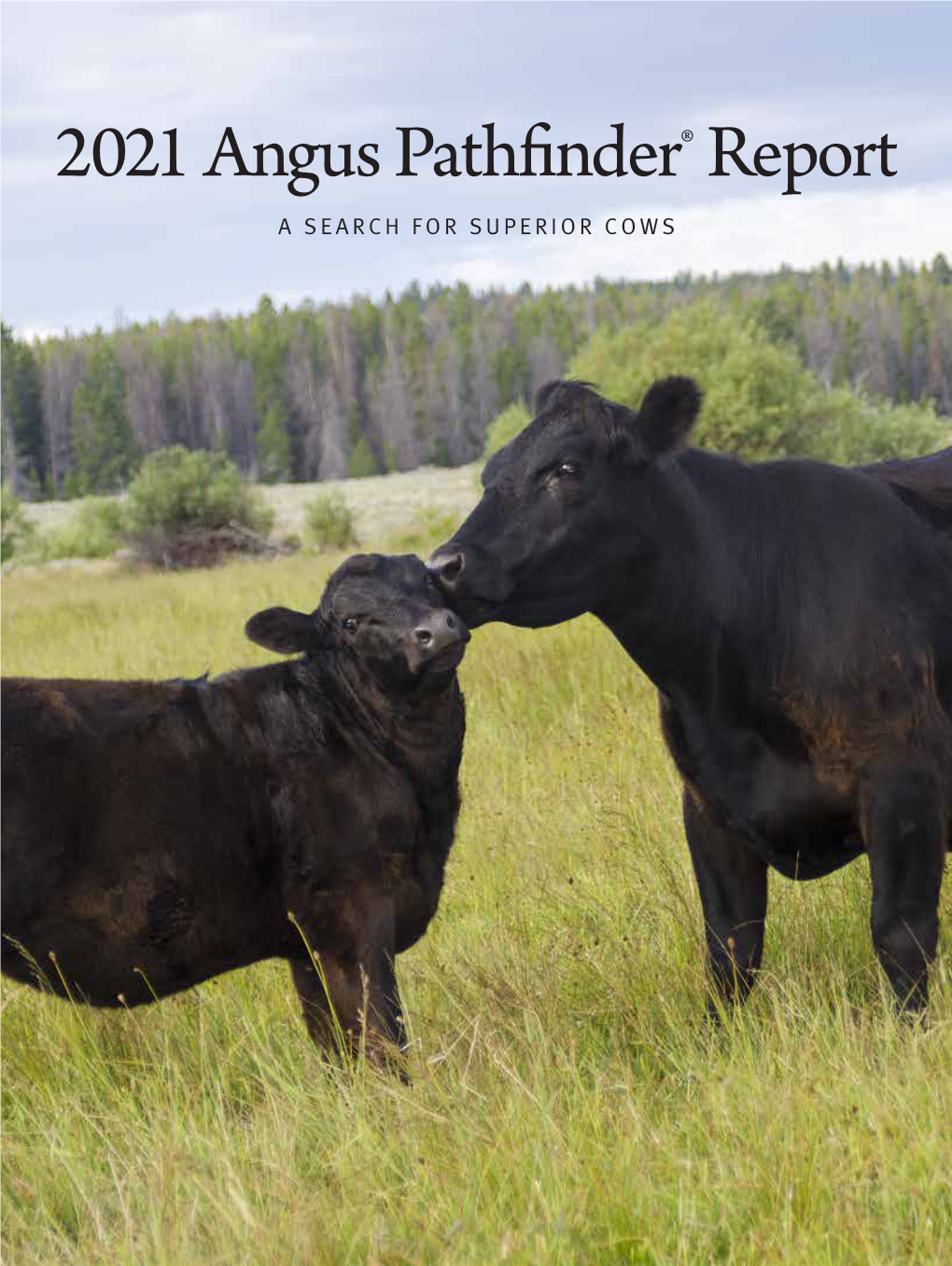 2021 Angus Pathfinder® Report a SEARCH for SUPERIOR COWS 2021 Angus Pathfinder® Report a SEARCH for SUPERIOR COWS