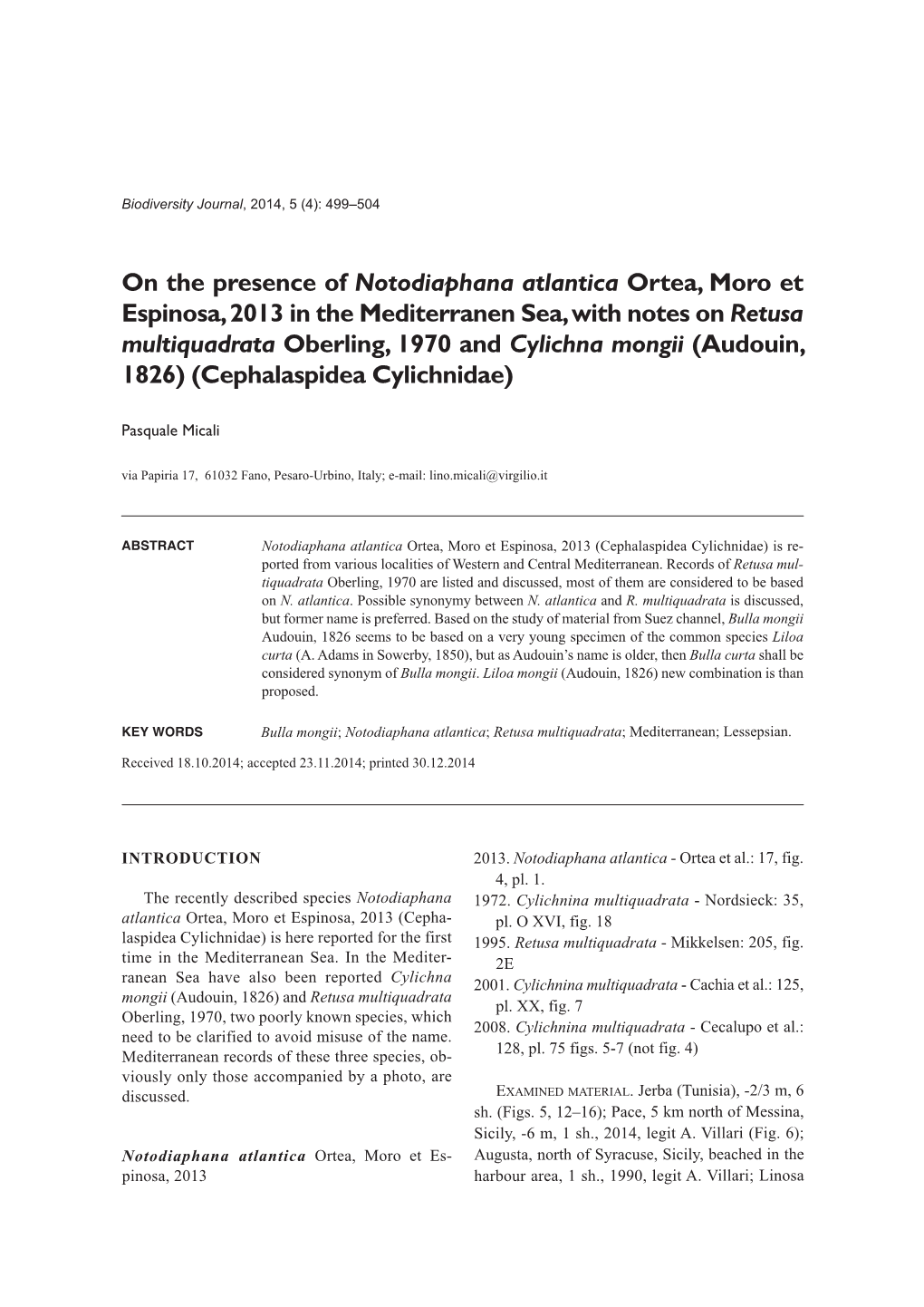 On the Presence of Notodiaphana Atlantica Ortea, Moro Et Espinosa