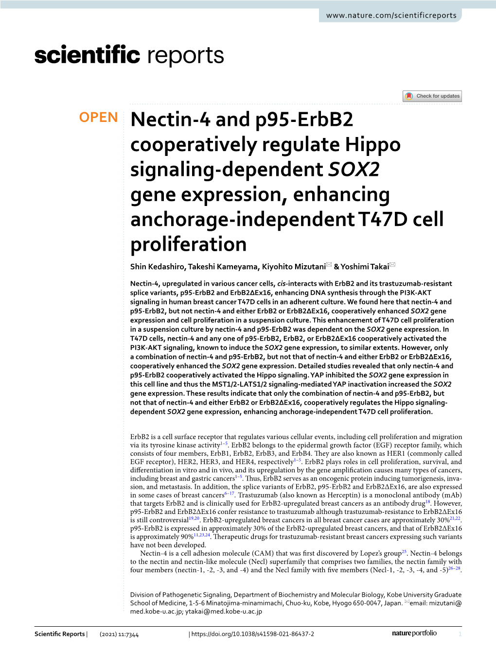Nectin-4 and P95-Erbb2 Cooperatively Regulate Hippo Signaling