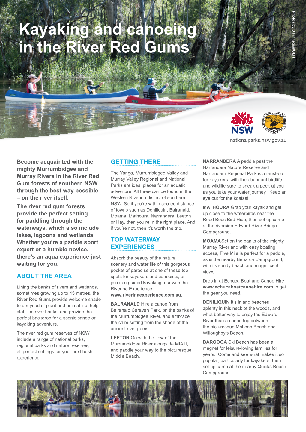 Kayaking and Canoeing in the River Red Gums