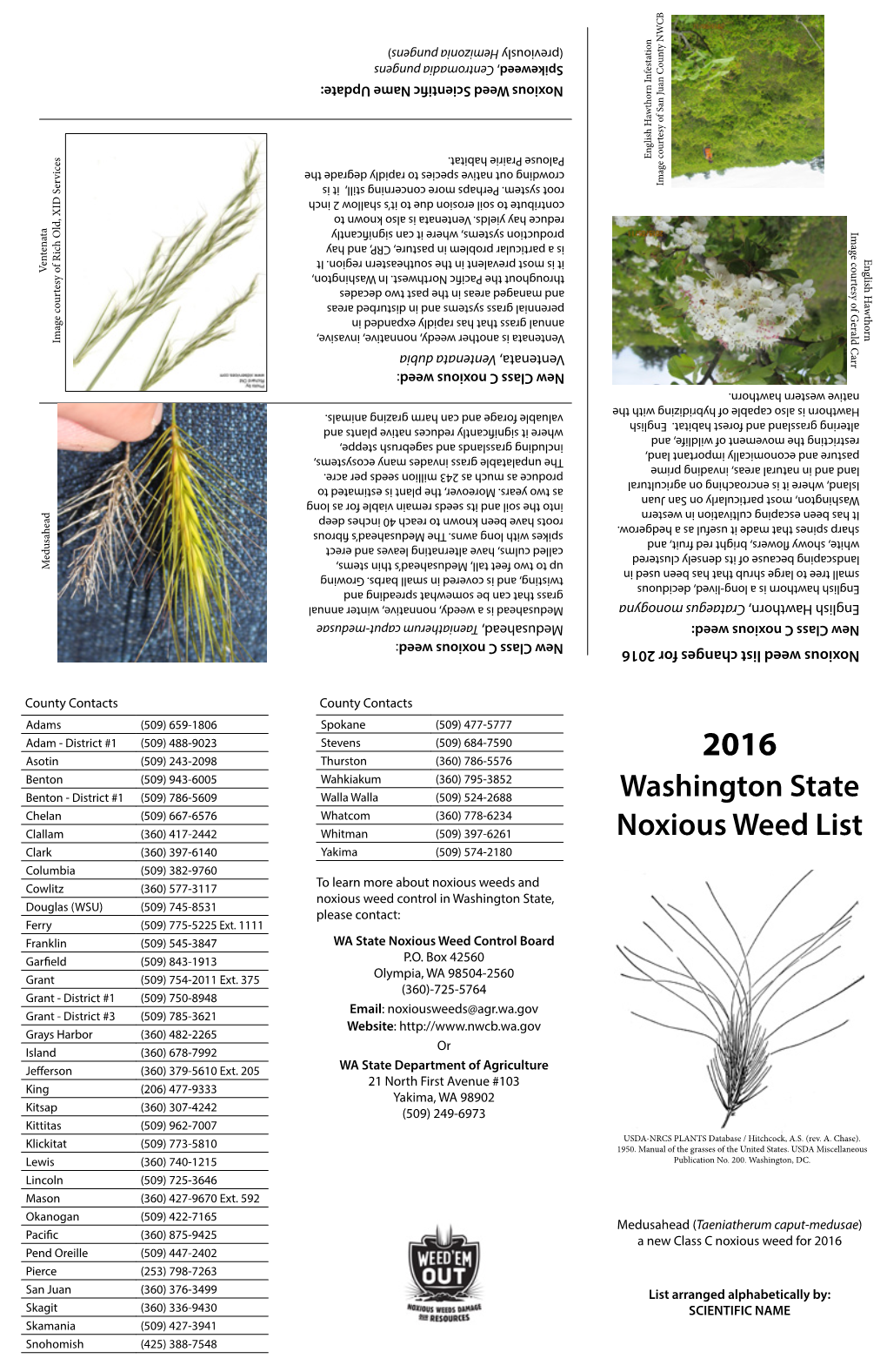 Washington State Noxious Weed List Class a Noxious Weeds - Eradication Required Class B Noxious Weeds-Continued Class C Noxious Weeds