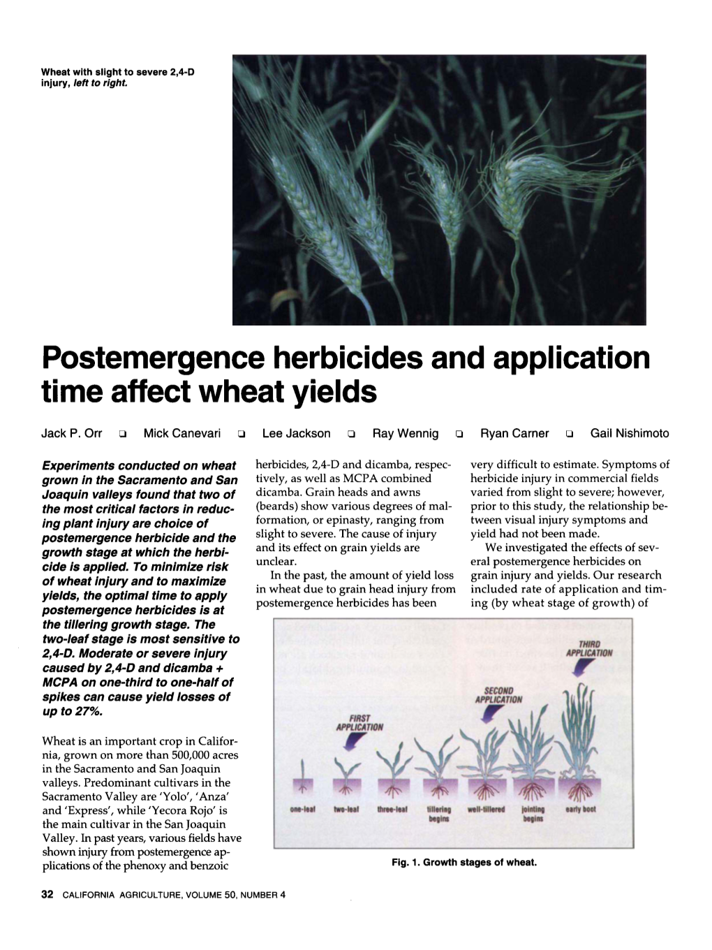 Postemergence Herbicides and Application Time Affect Wheat Yields