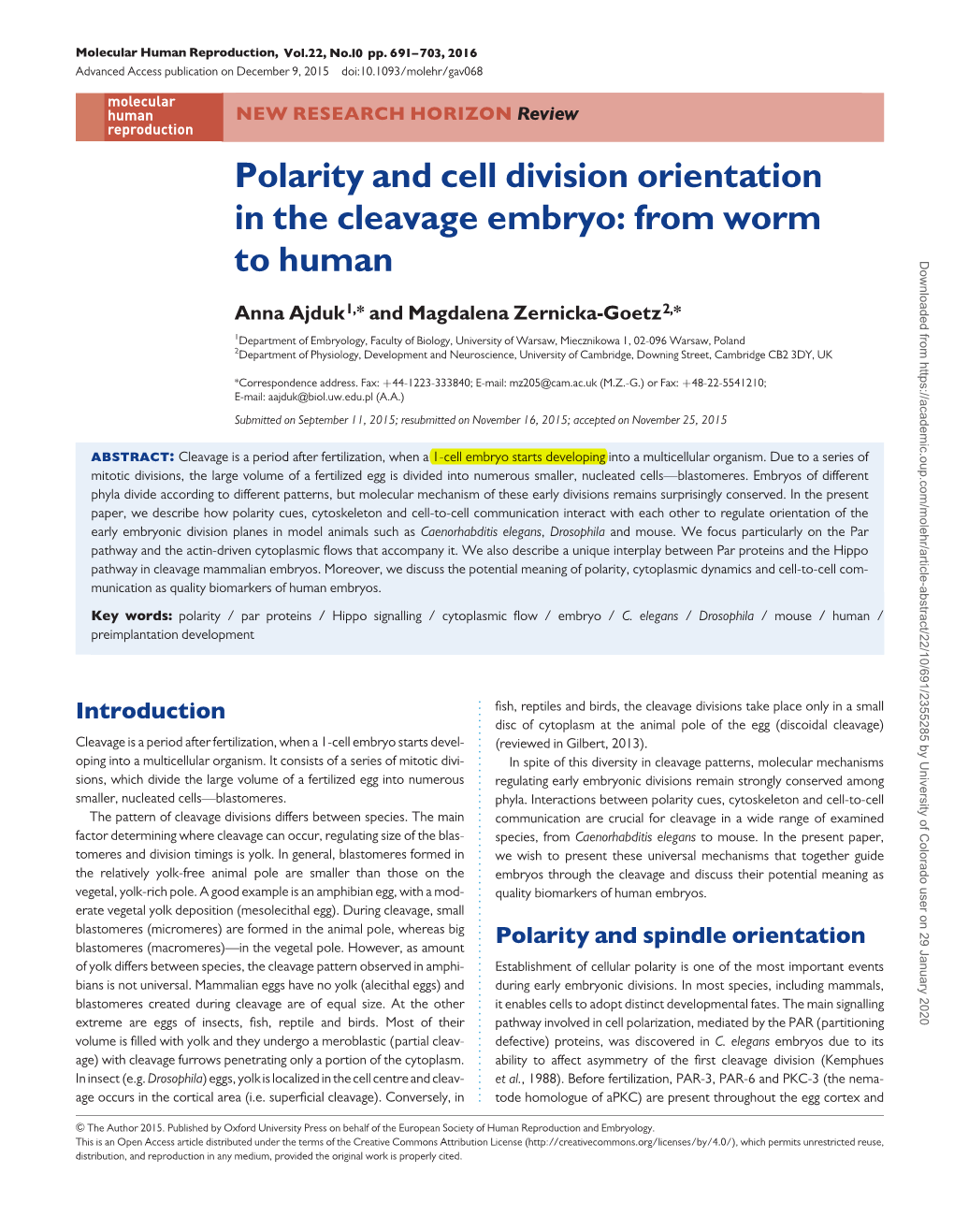 Polarity and Cell Division Orientation in the Cleavage Embryo: from Worm