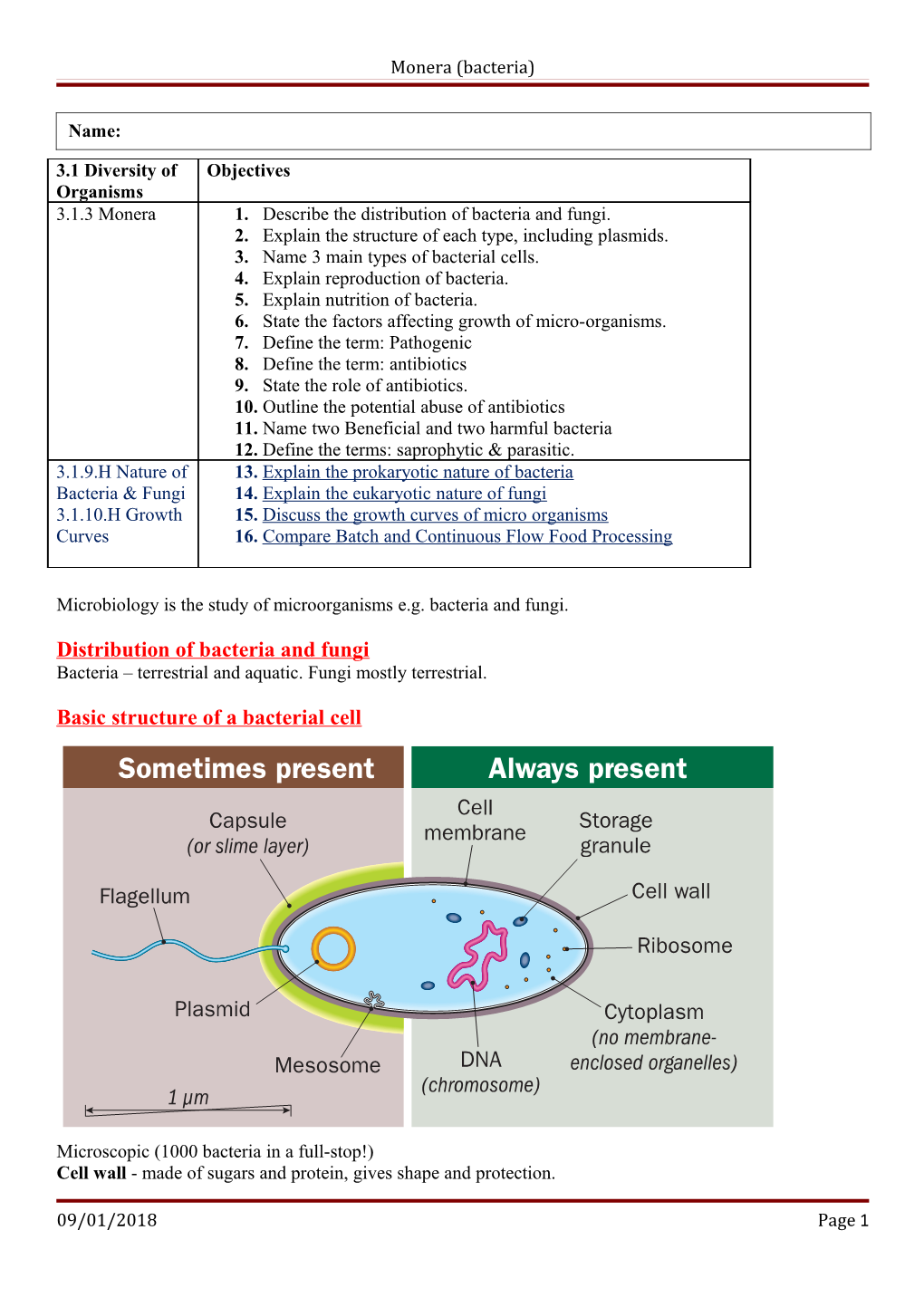 Monera (Bacteria)