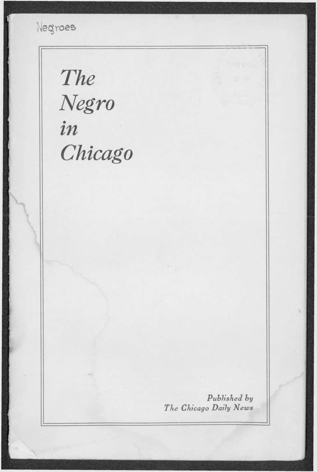 The Negro in Chicago