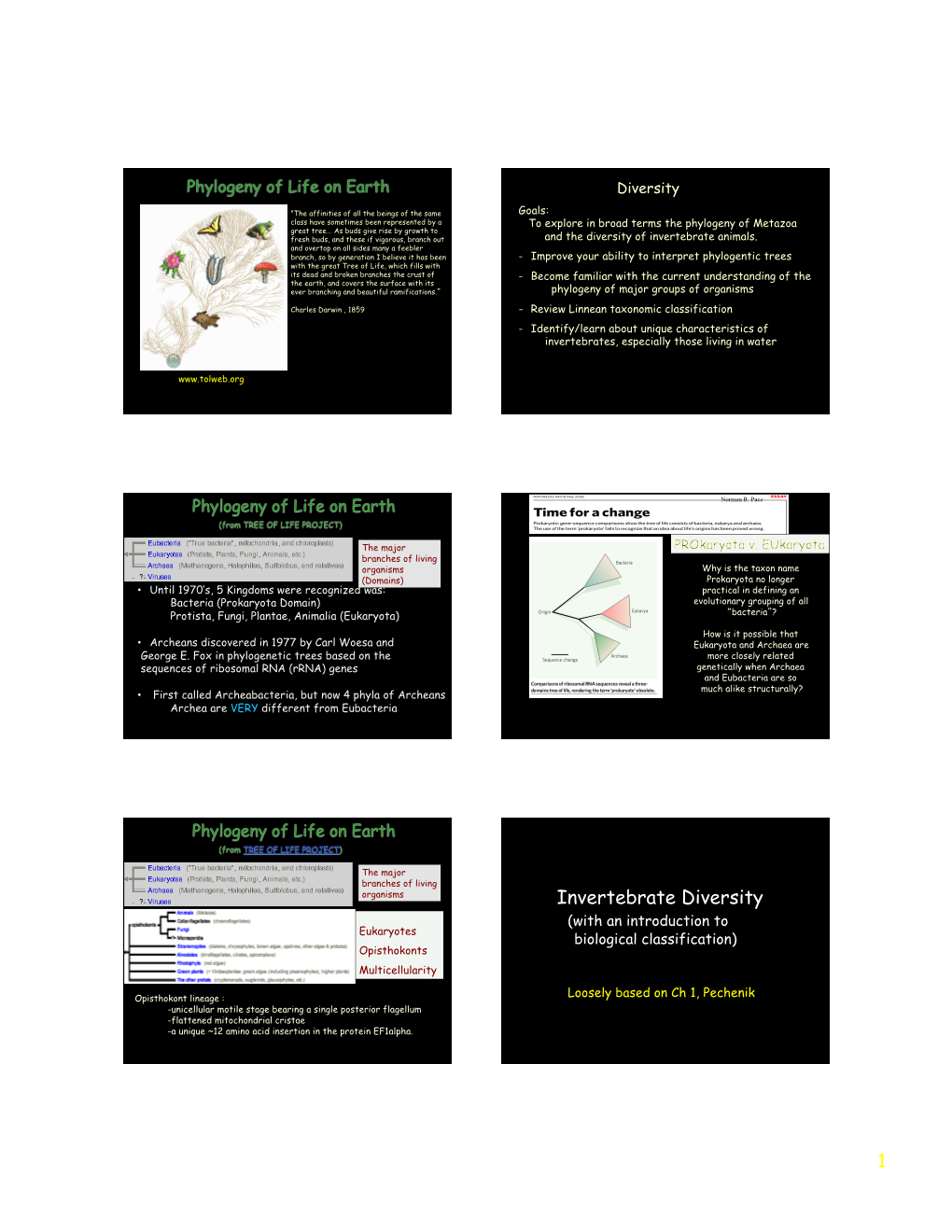 1 Invertebrate Diversity