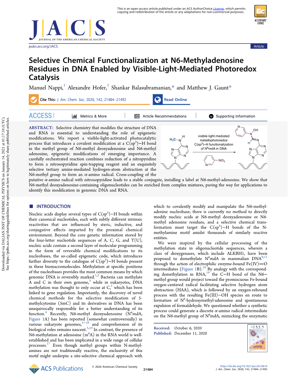 Selective Chemical Functionalization at N6-Methyladenosine Residues In