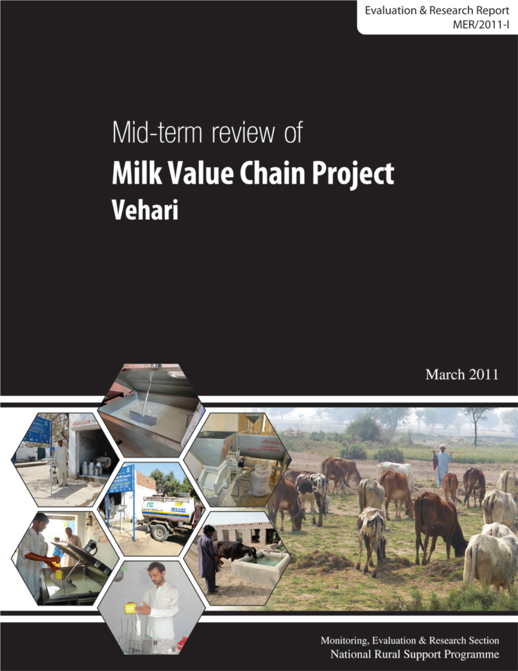 Mid-Term Review of Milk Value Chain Project, Vehari