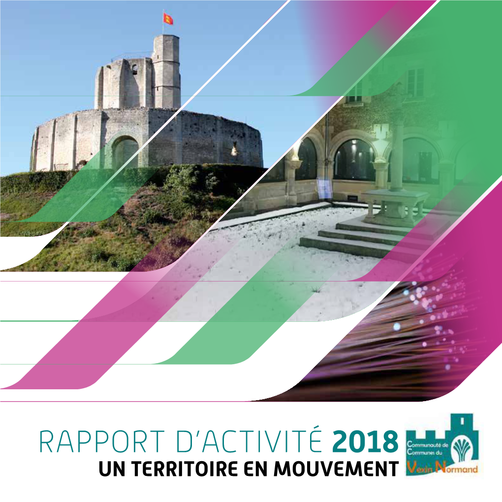 Rapport D'activité 2018