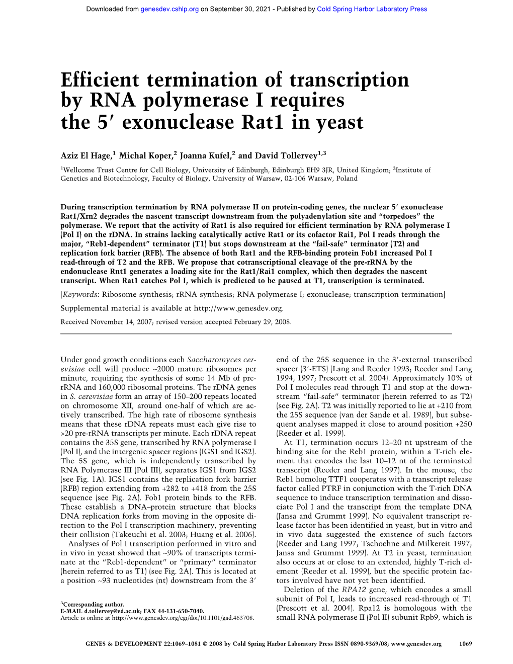 Efficient Termination of Transcription by RNA Polymerase I Requires the 5؅ Exonuclease Rat1 in Yeast