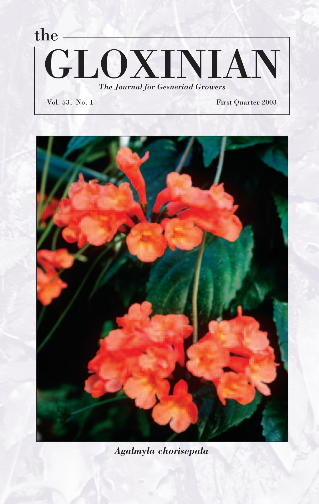 GLOXINIAN the Journal for Gesneriad Growers