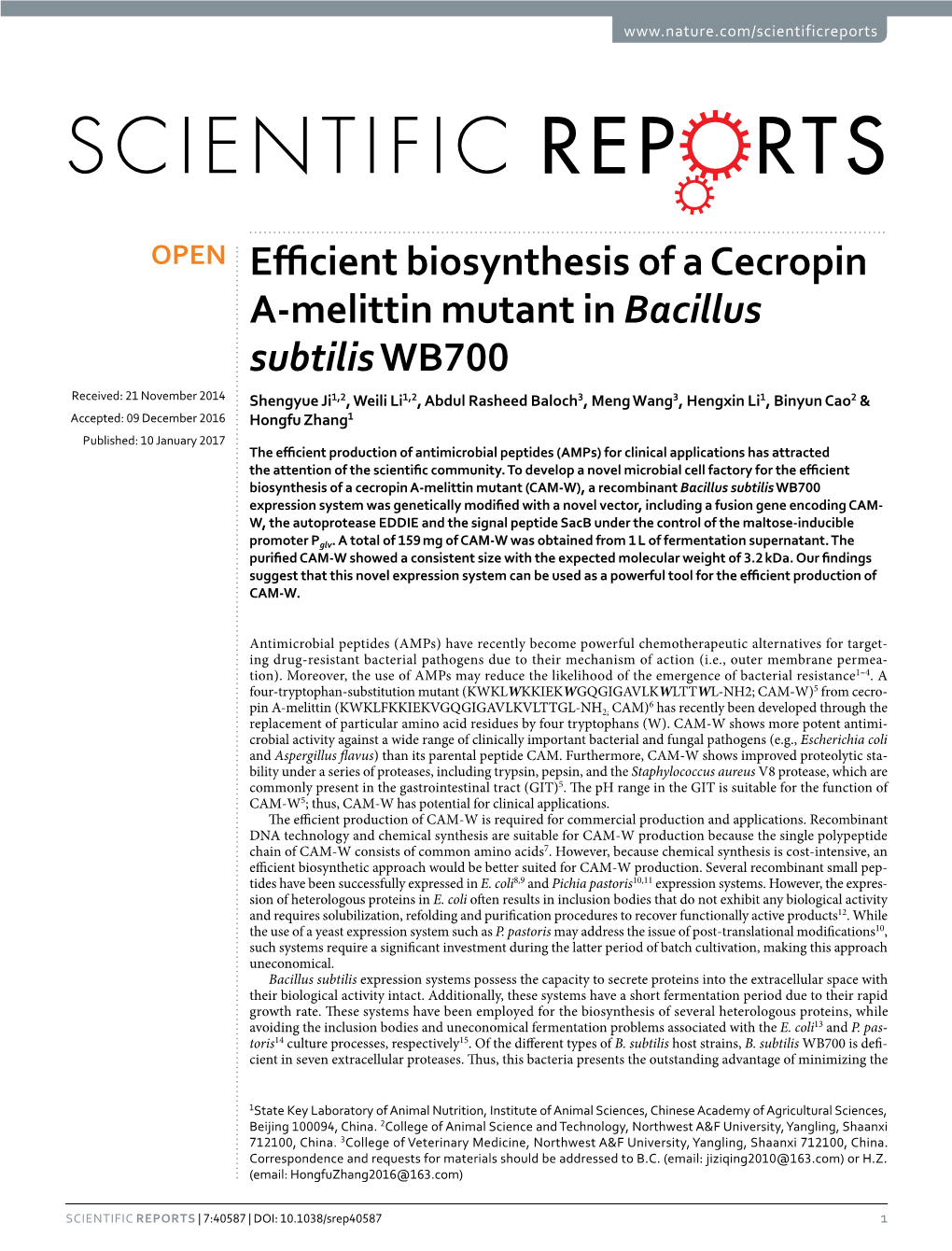 Efficient Biosynthesis of a Cecropin A-Melittin Mutant in Bacillus Subtilis WB700