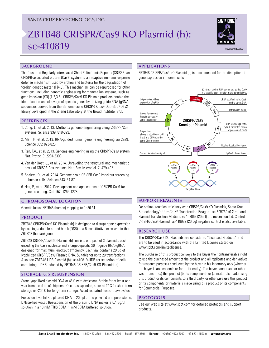 ZBTB48 CRISPR/Cas9 KO Plasmid (H): Sc-410819