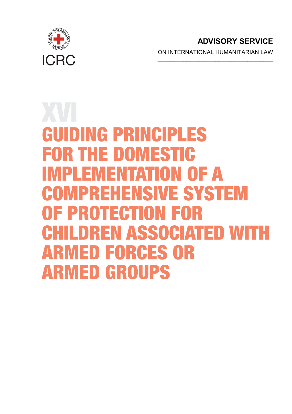 Guiding Principles for the Domestic Implementation of A