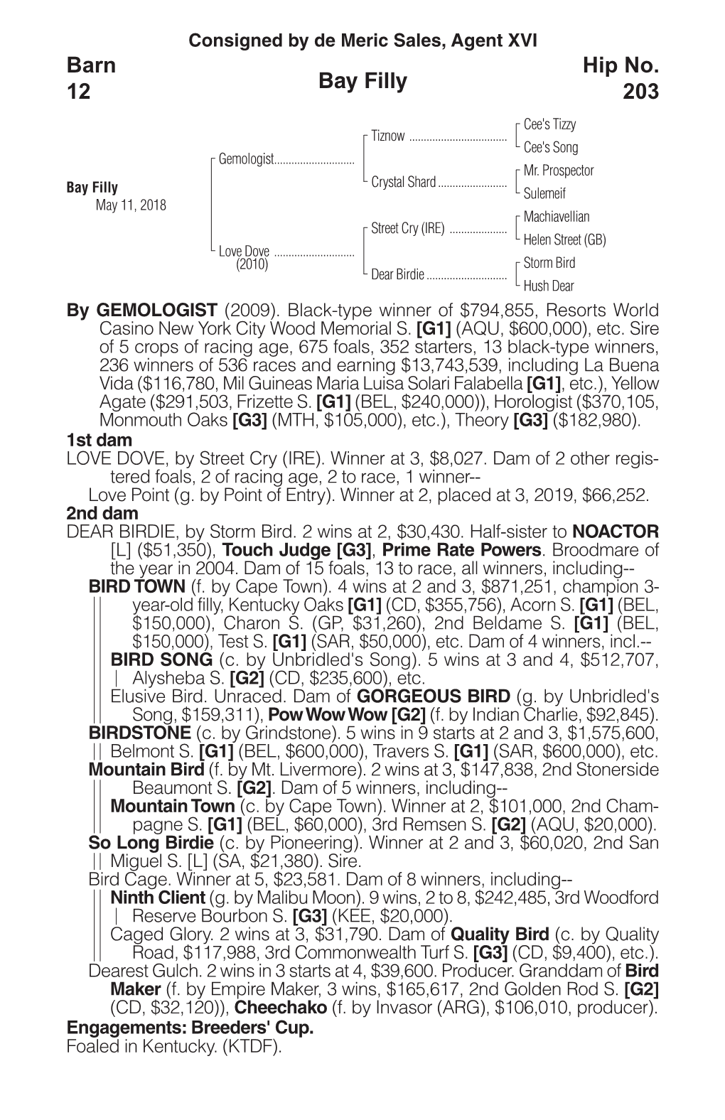 Bay Filly Barn 12 Hip No