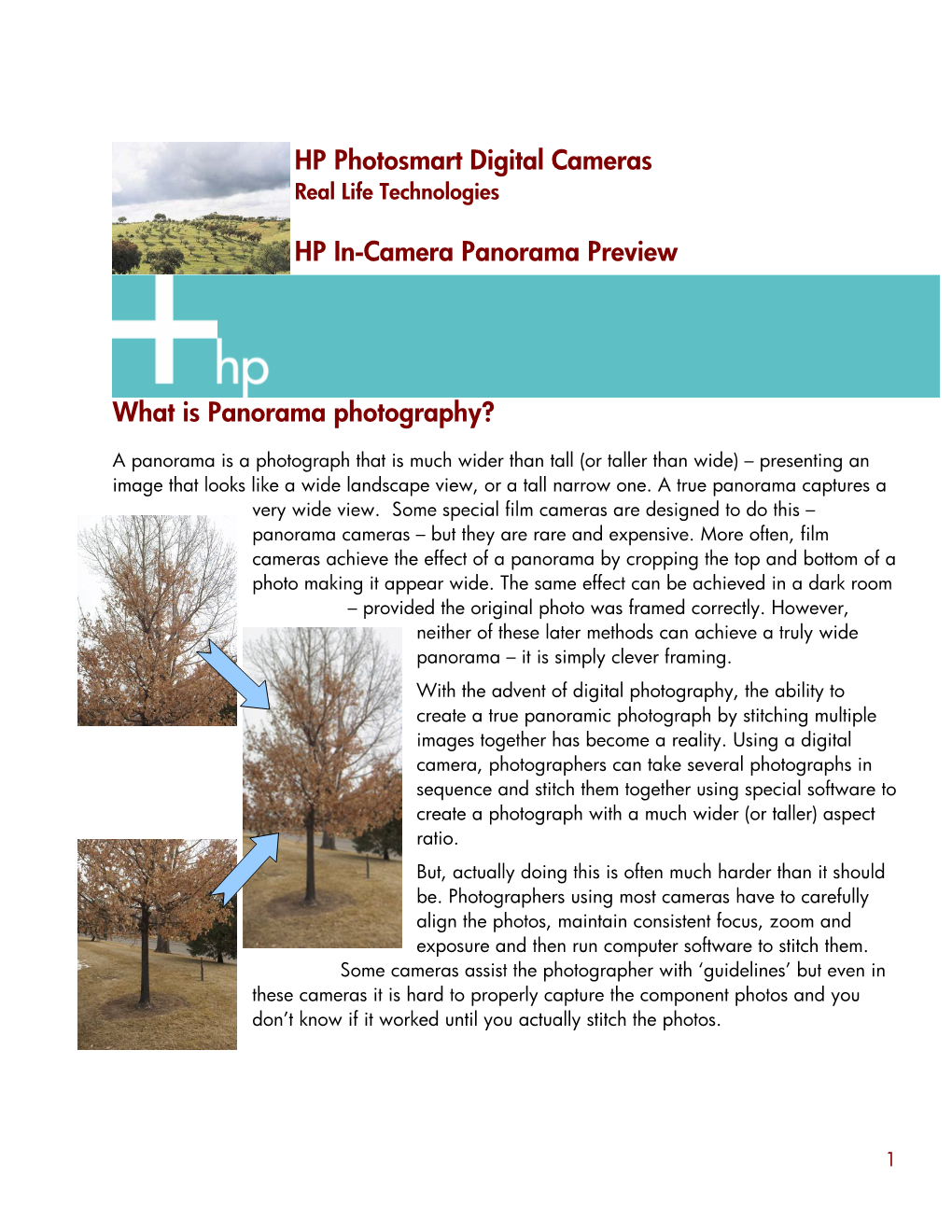 HP Photosmart Digital Cameras HP In-Camera Panorama Preview What Is Panorama Photography?