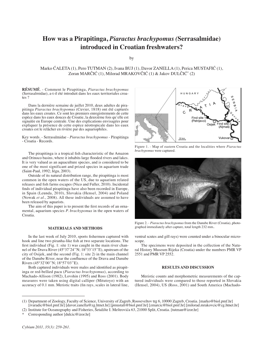 How Was a Pirapitinga, Piaractus Brachypomus (Serrasalmidae) Introduced in Croatian Freshwaters?