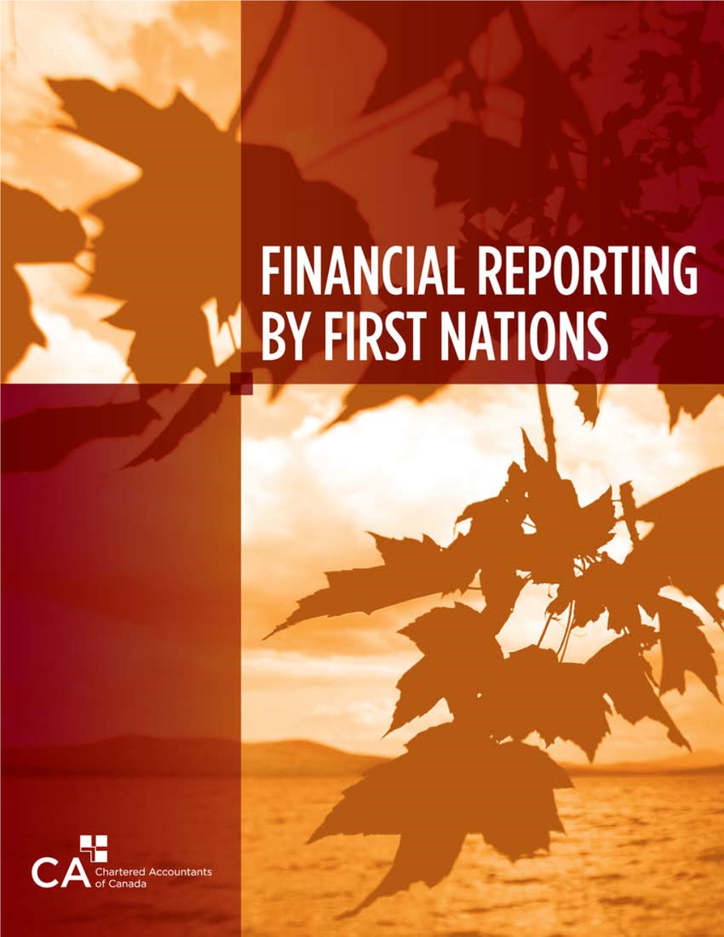 Financial Reporting by First Nations