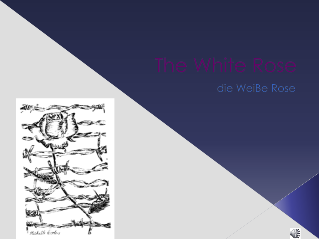 The White Rose Was a Non Violent Group of Students from the University of Munich