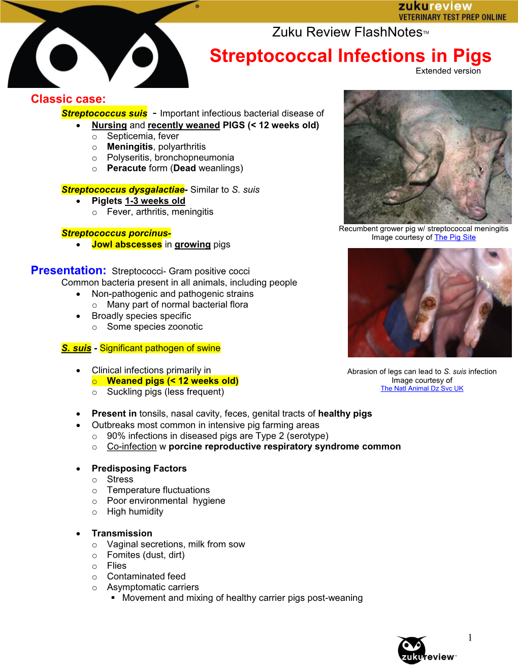 Streptococcal Infections in Pigs Extended Version