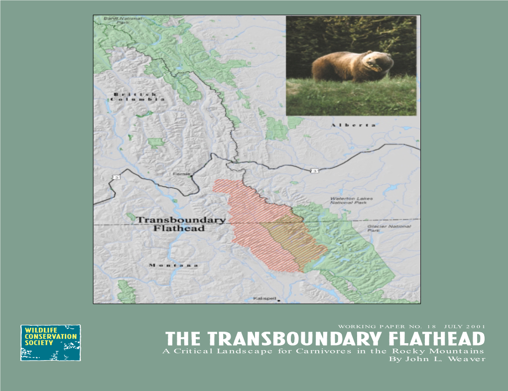 The Transboundary Flathead a Critical Landscape for Carnivores in the Rocky Mountains by John L