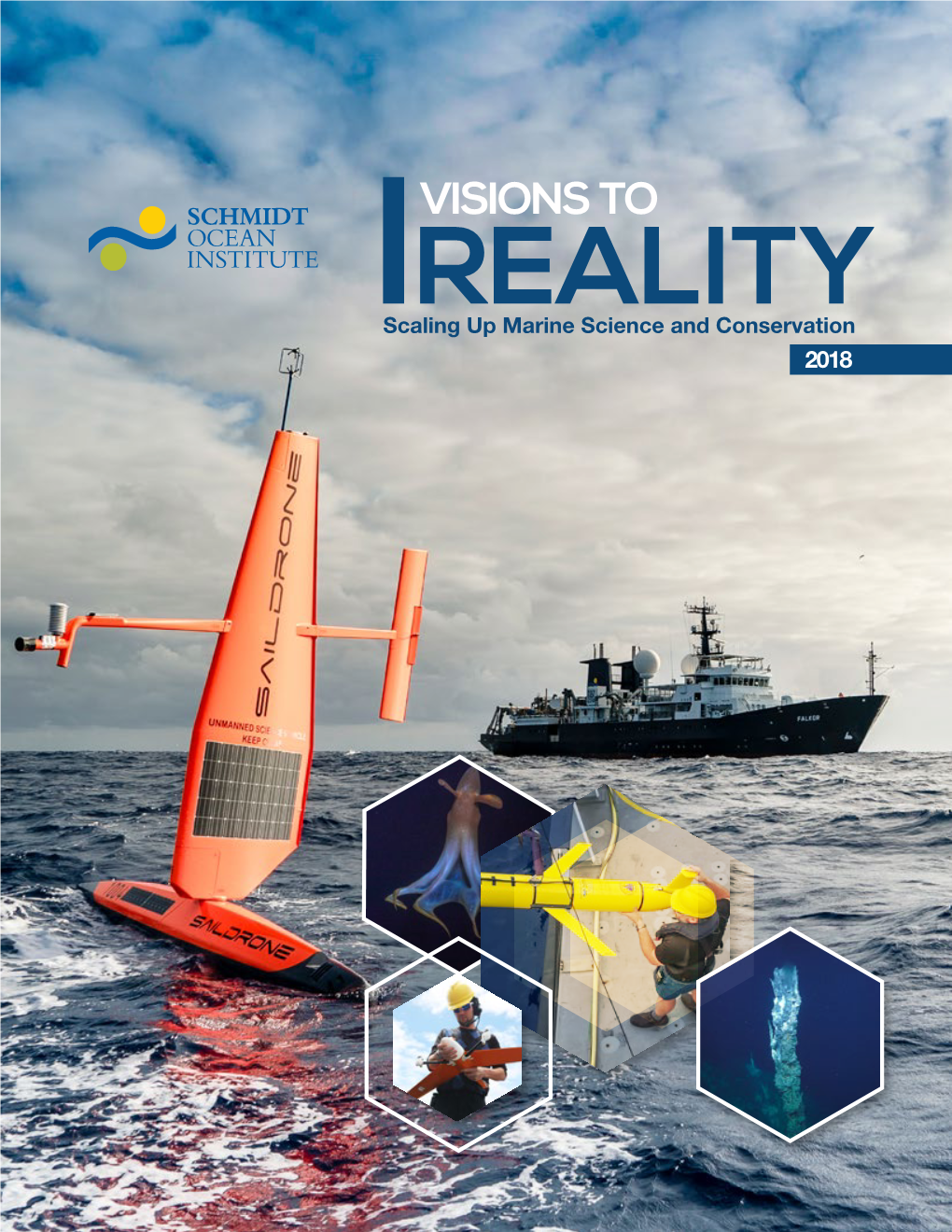 VISIONS to REALITY Scaling up Marine Science and Conservation 2018 VISIONS to REALITY