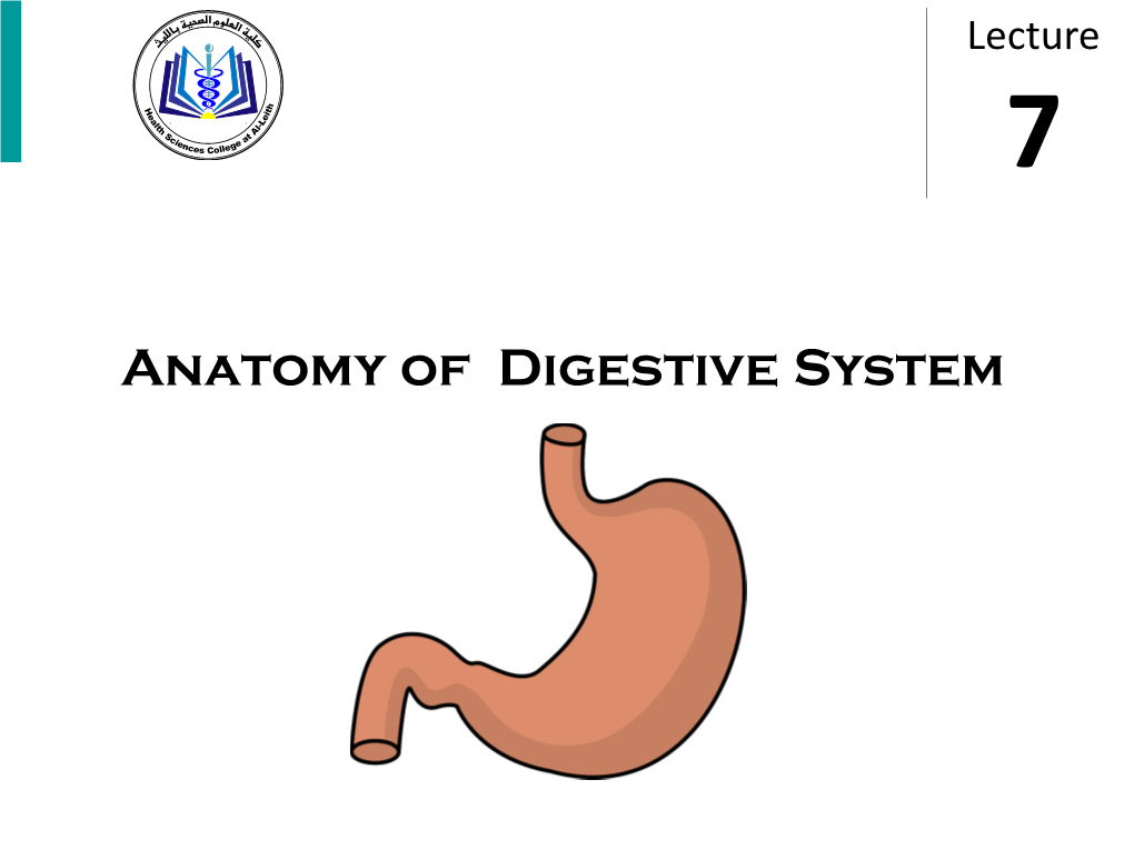 Anatomy of Digestive System OBJECTIVES