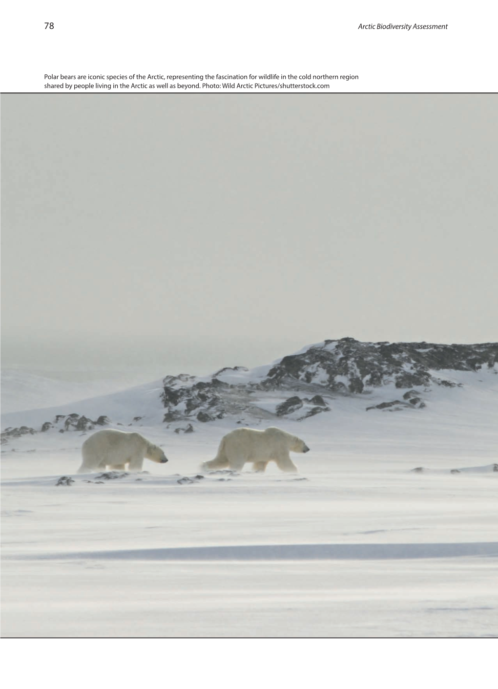 Arctic Biodiversity Assessment