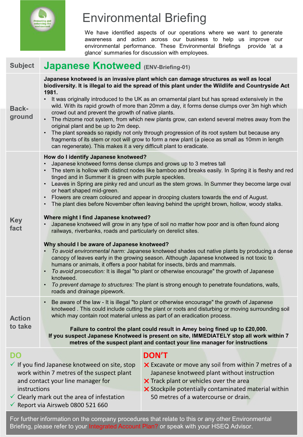 Japanese Knotweed (ENV-Briefing-01) Japanese Knotweed Is an Invasive Plant Which Can Damage Structures As Well As Local Biodiversity