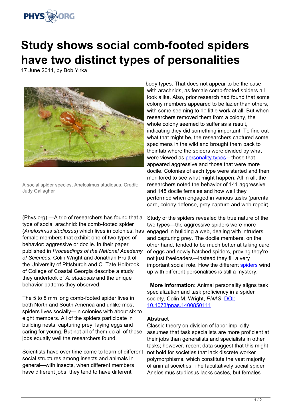 Study Shows Social Comb-Footed Spiders Have Two Distinct Types of Personalities 17 June 2014, by Bob Yirka